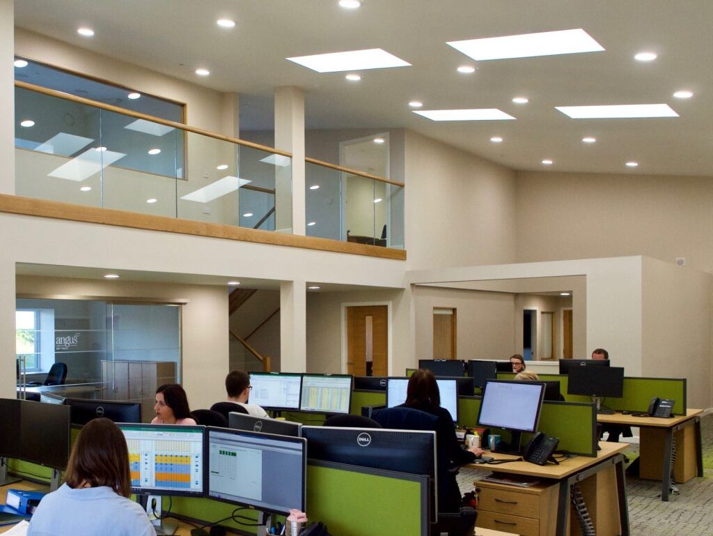 Modern open-plan office with multiple employees working at computer desks under bright ceiling lights.