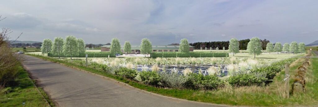 Rural landscape with a small road next to a field planted with young trees and shrubs.