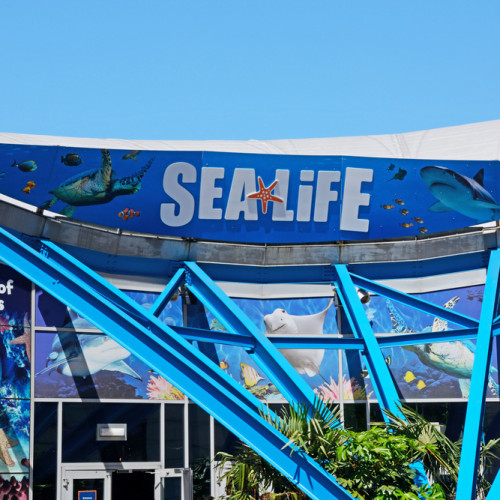 National Sea Life Centre Birmingham