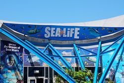 National Sea Life Centre Birmingham