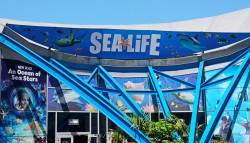 National Sea Life Centre Birmingham
