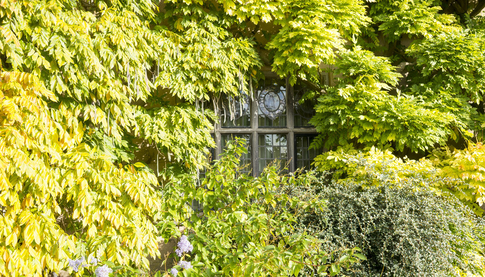 Packwood House Garden