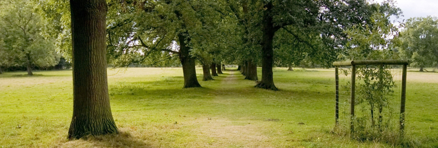 Packwood House Grounds