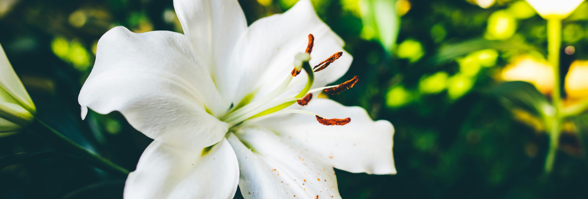 Funerals and Wakes Birmingham