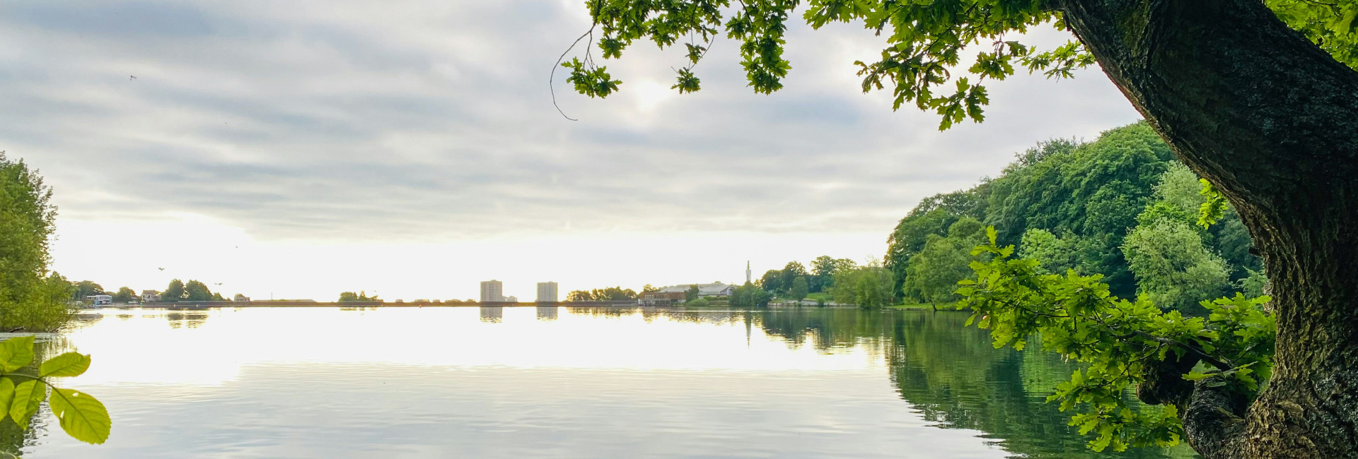 Walks Around Edgbaston Reservoir