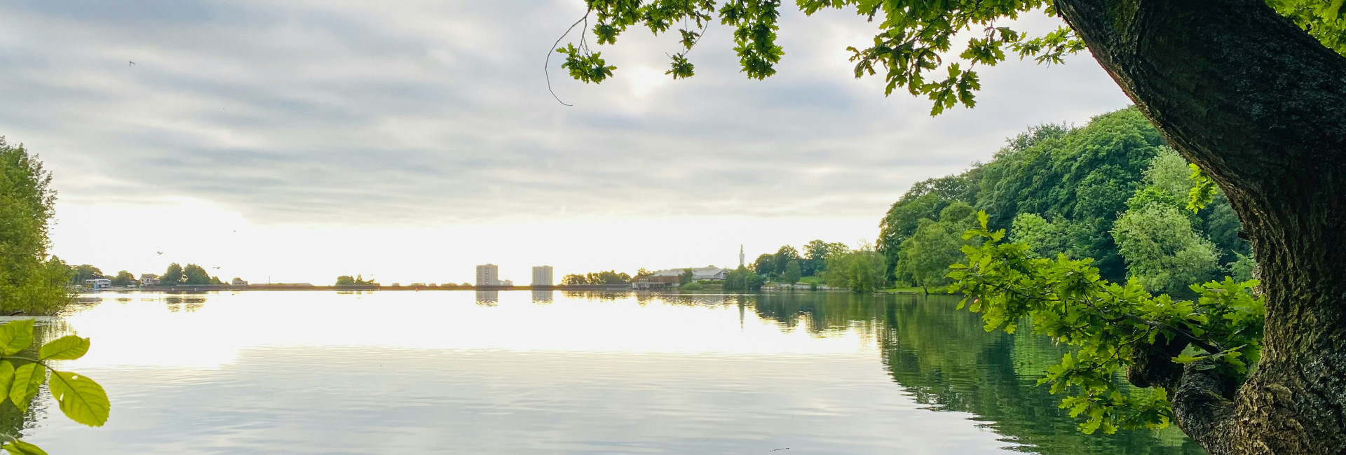 Walks Around Edgbaston Reservoir