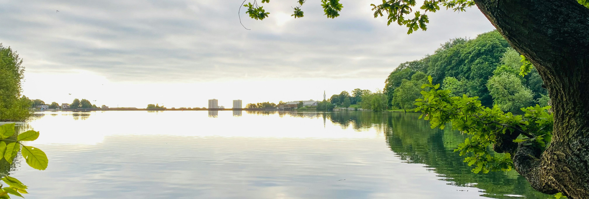 Walks Around Edgbaston Reservoir