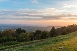 Lickey Hills