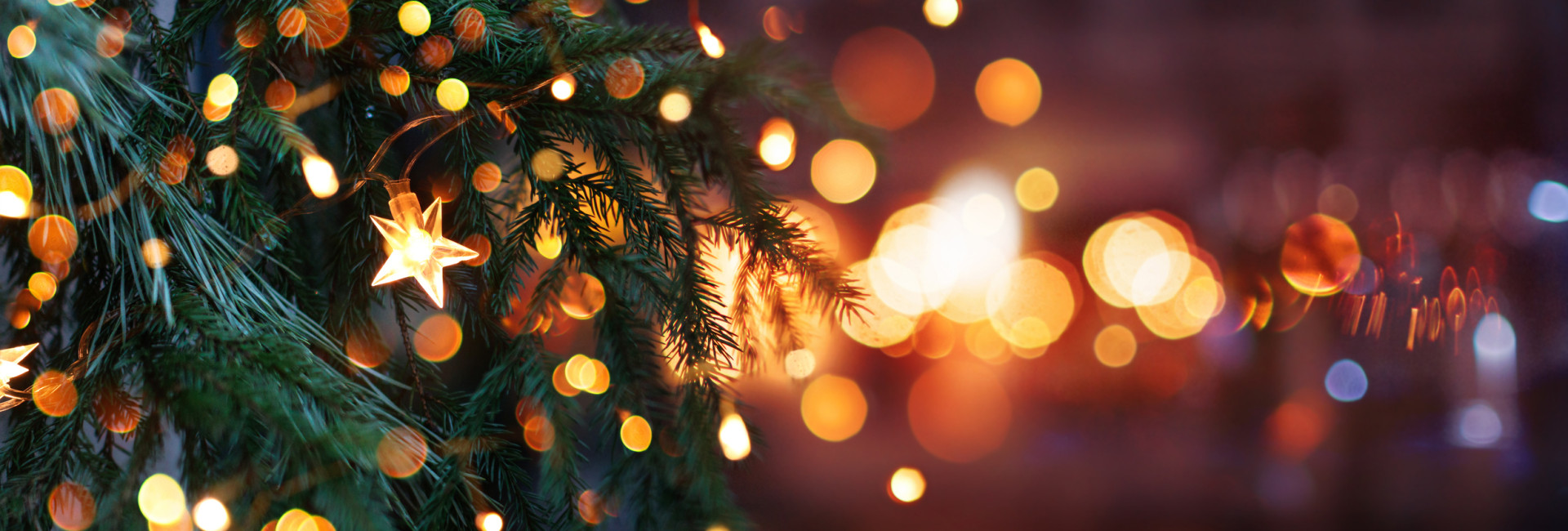 Christmas Hero Image - Westmead Hotel