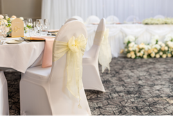 Wedding Chairs and Sash