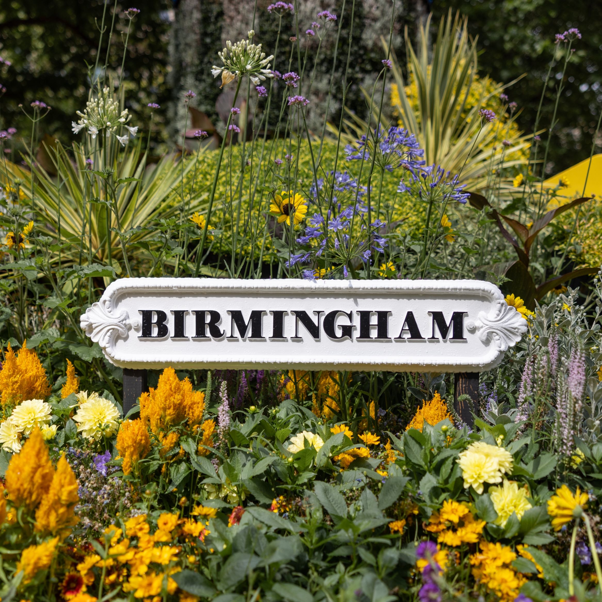 GettyImages-1413403449