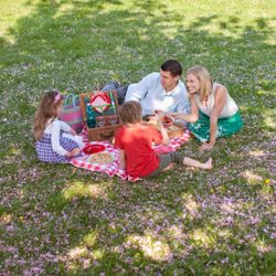 Picnic