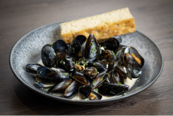 Mussels at Westmead