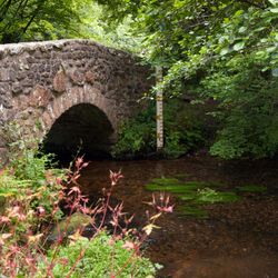 Bridge over bovey river