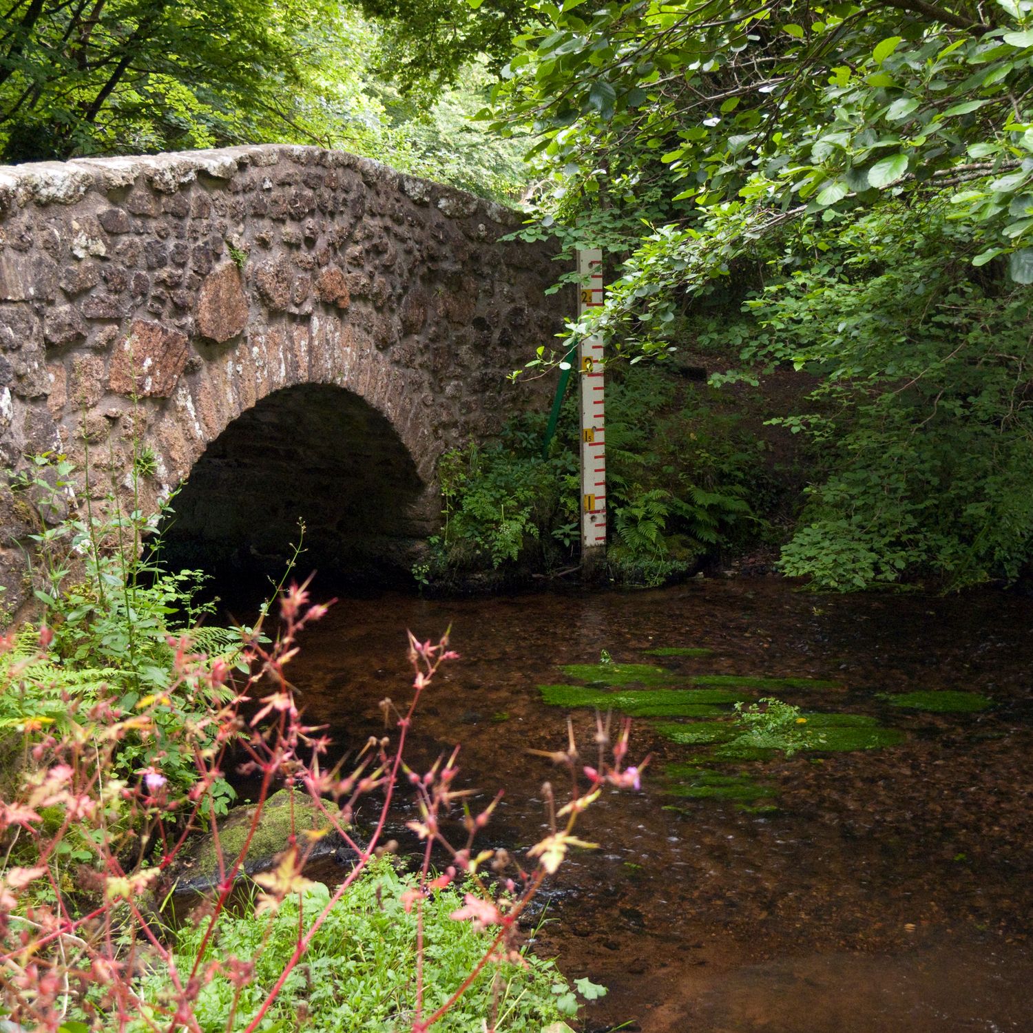 Bridge over bovey river