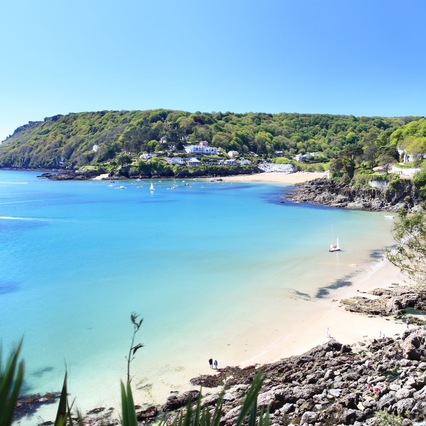 Salcombe