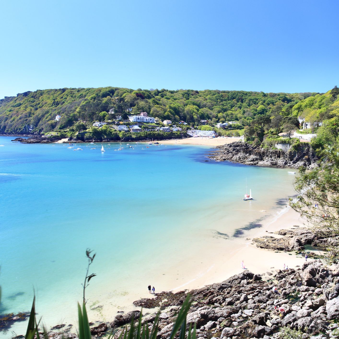 Salcombe