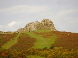Granite rock formations rise above a green hillside dotted with Dartmoor ponies and autumn-coloured bracken, set against a pale blue sky.