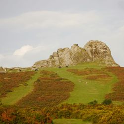 Granite rock formations rise above a green hillside dotted with Dartmoor ponies and autumn-coloured bracken, set against a pale blue sky.