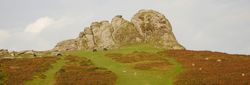 Granite rock formations rise above a green hillside dotted with Dartmoor ponies and autumn-coloured bracken, set against a pale blue sky.