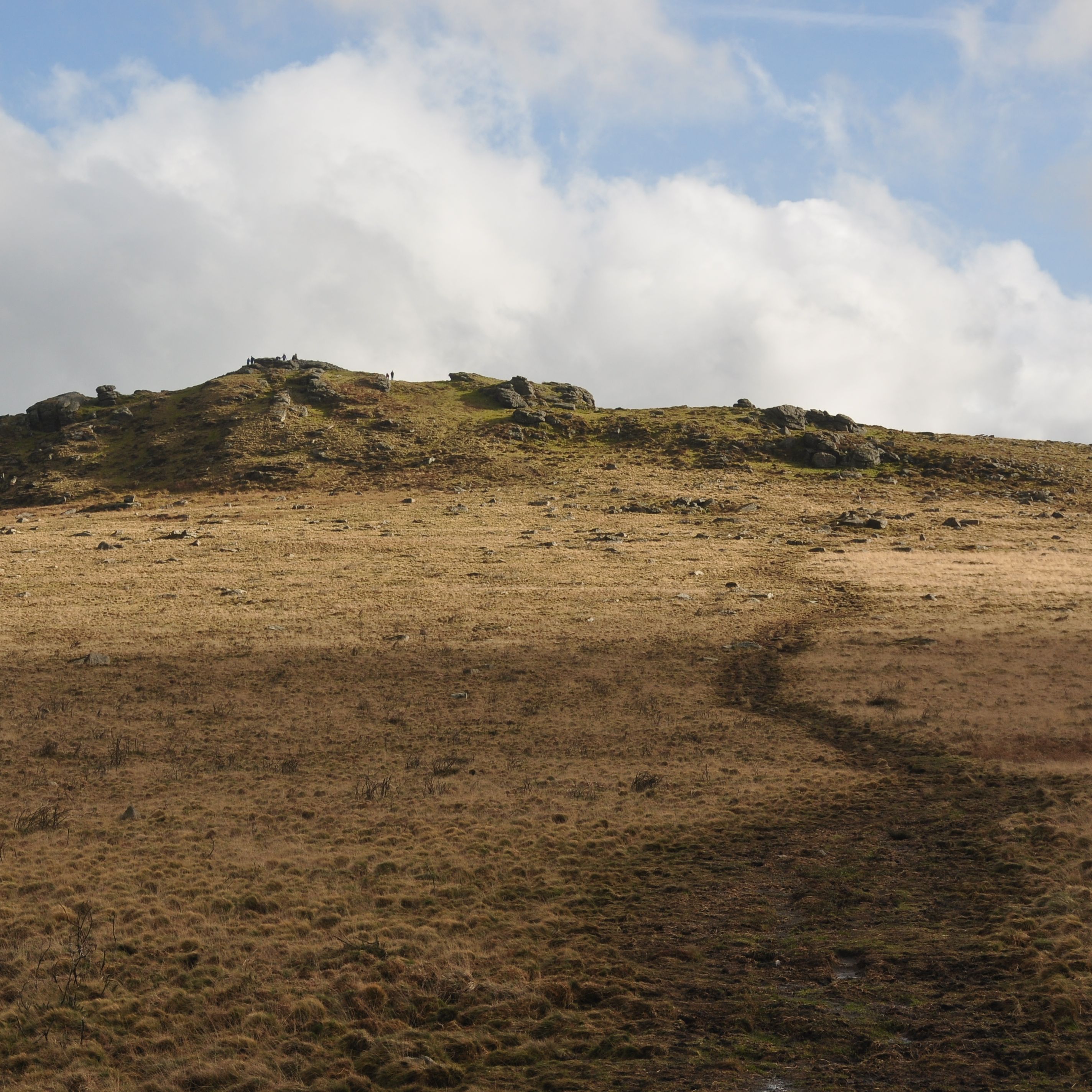 View of Rippon Tor from below, showing a grassy, gently sloping moorland hill with scattered rocks and a worn path leading up to the rocky summit.