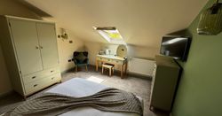 Cozy attic bedroom with green furniture, TV, and a skylight window