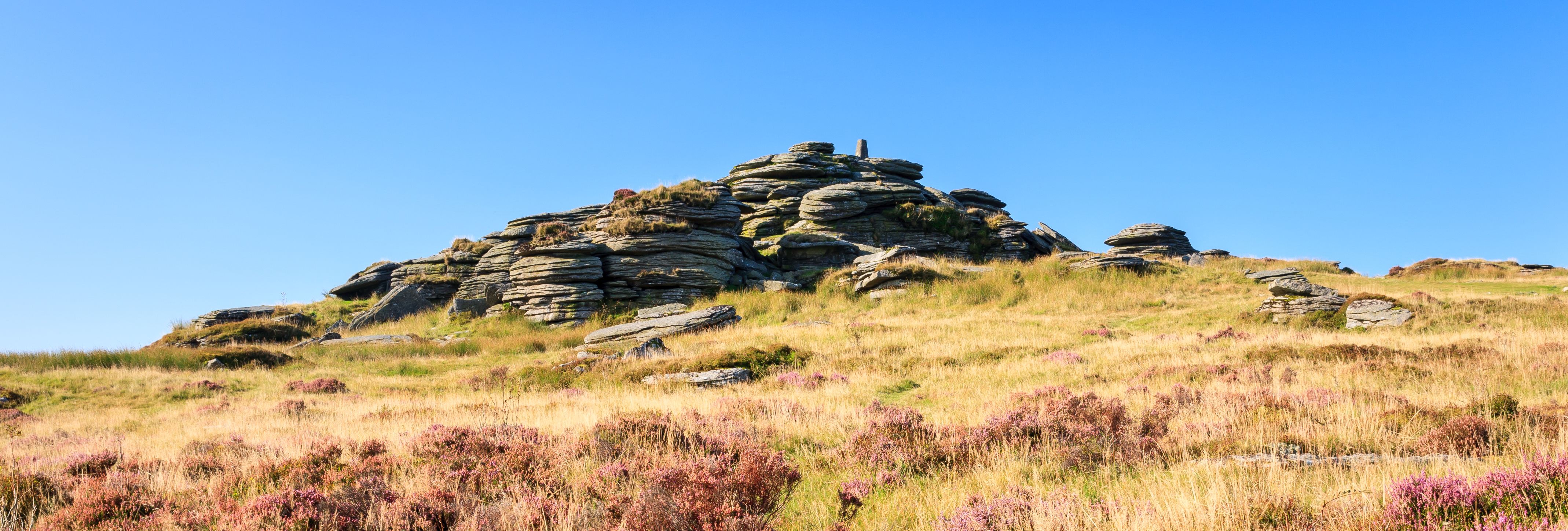 Bellever Tor on Dartmoor, Devon. A granite tor in the foreground, with moorland and bright purple heather in the foreground on a bright and sunny day.
