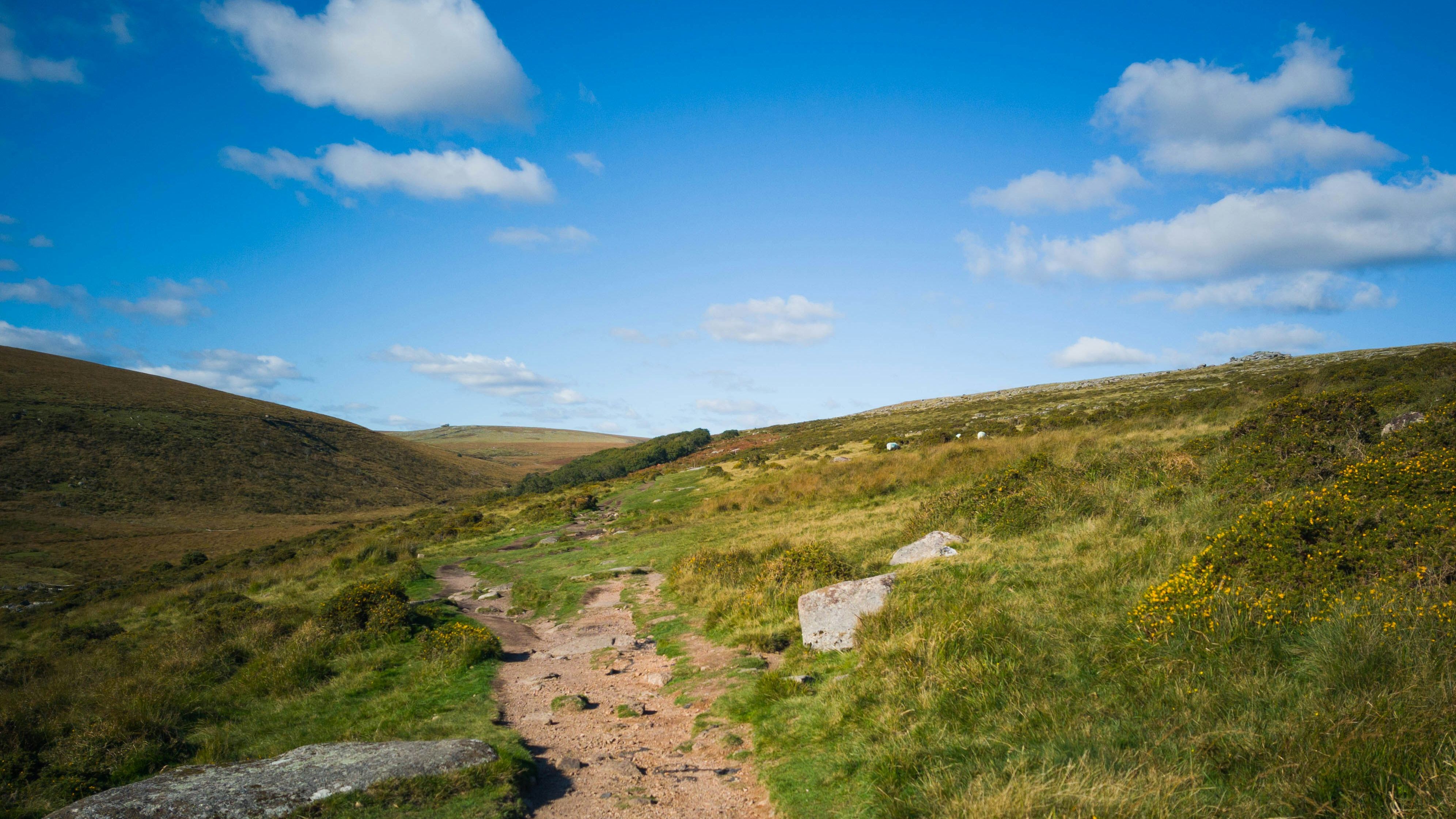 Dartmoor Walking Path