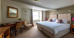 Premium Double/Twin Room