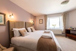 Premium Double/Twin Room