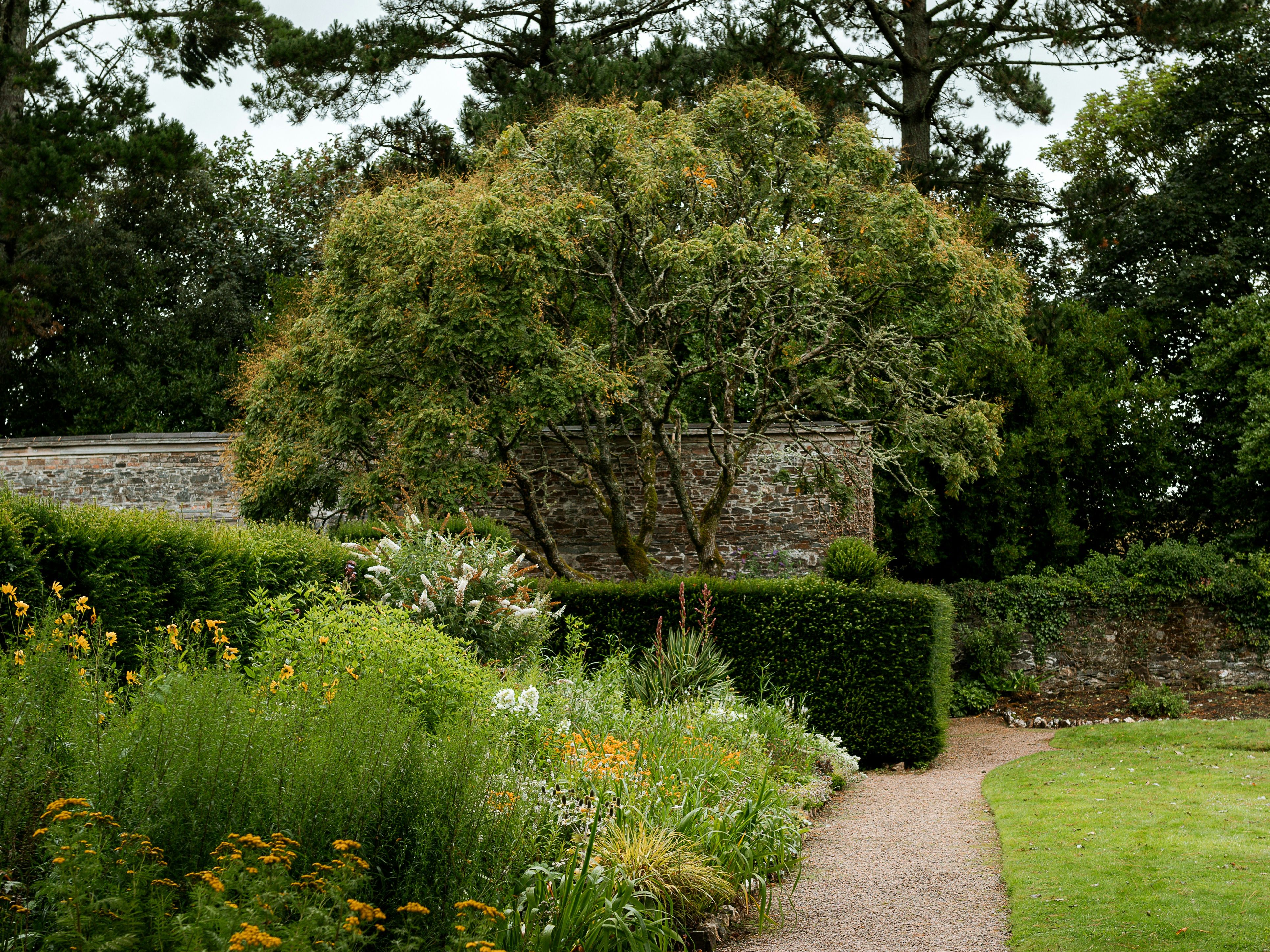 A gravel pathway winding through a lush green garden with flowering plants and shrubs, bordered by a stone wall and tall trees in the background.