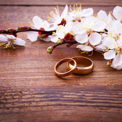 Wedding rings and flowers