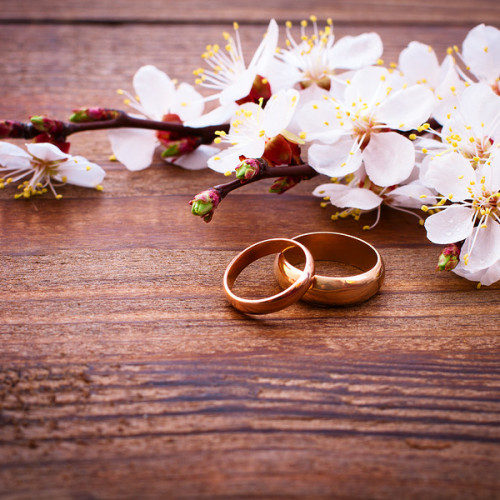 Wedding rings and flowers