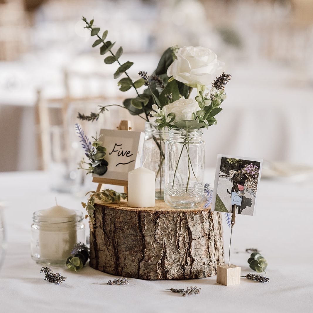 Old brick wall partially covered with green ivy