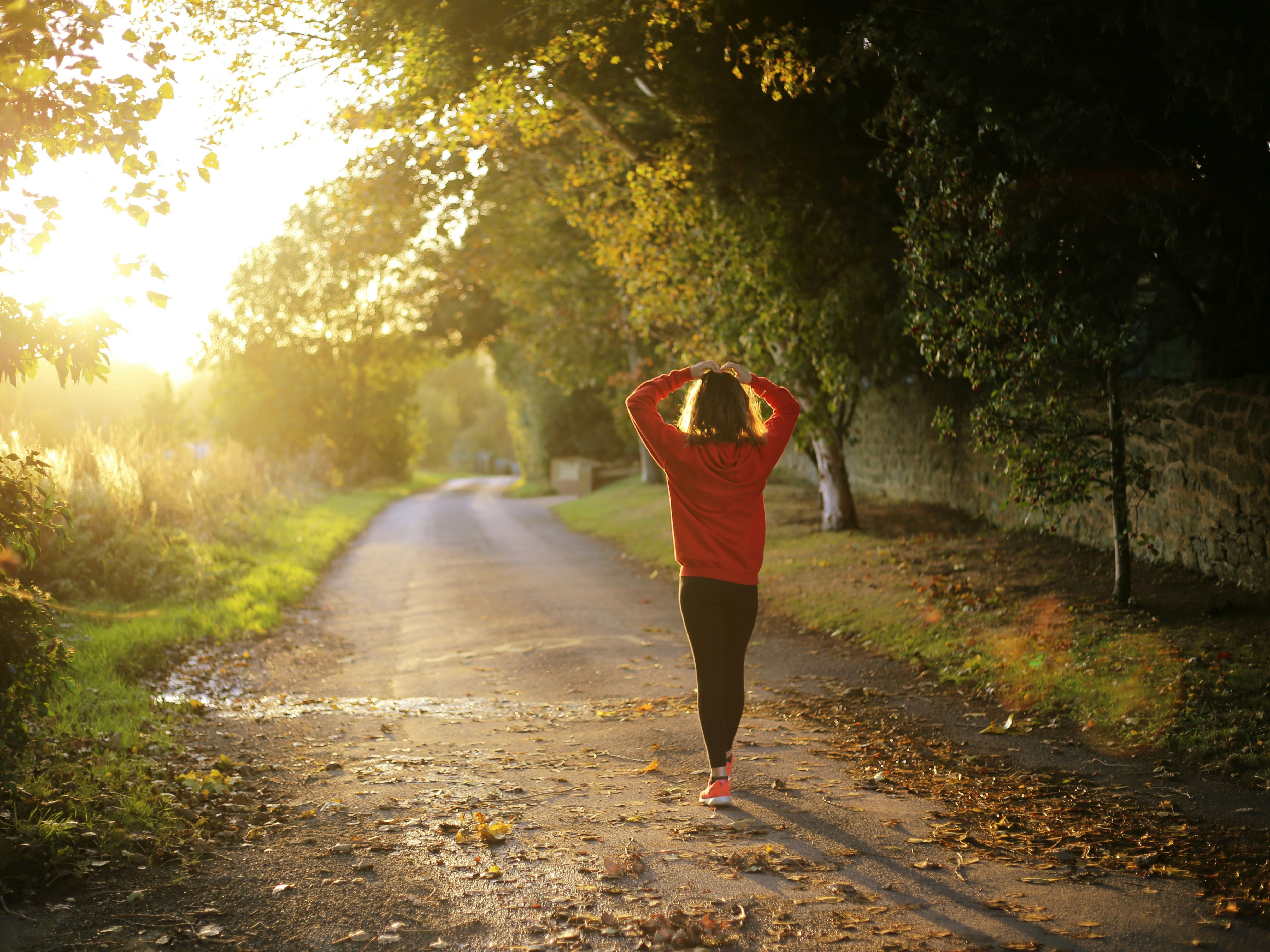 Person in a red sweatshirt walking on a tree-lined path during sunset