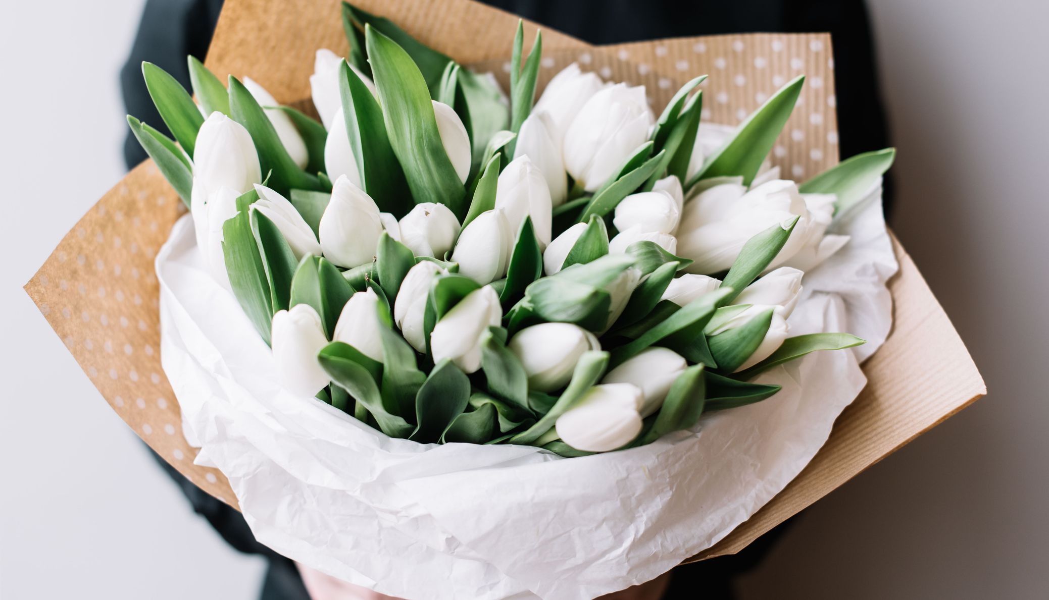 A person in dark clothing holds a bouquet of fresh white tulips wrapped in brown polka-dotted paper and white tissue, with green leaves adding contrast to the delicate petals.