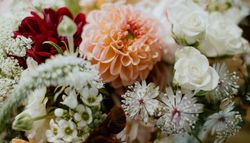 A close-up of a floral bouquet featuring a peach dahlia, white roses, deep red blooms, and delicate wildflowers, with lush greenery adding texture.