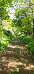 Mothecombe paths accessibility