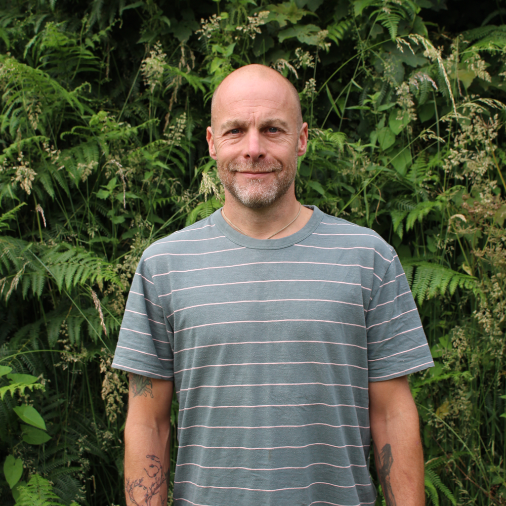 Man with a bald head and beard wearing a striped T-shirt standing in front of green foliage.