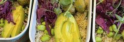 Containers filled with colorful quinoa bowls topped with avocado, roasted sweet potatoes, olives, edamame, red cabbage, and greens.