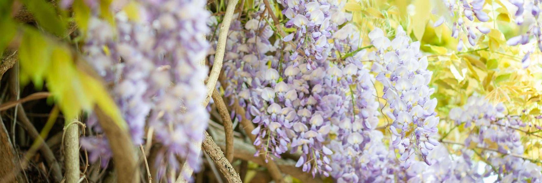 New Project - 2025-02-26T104414.833