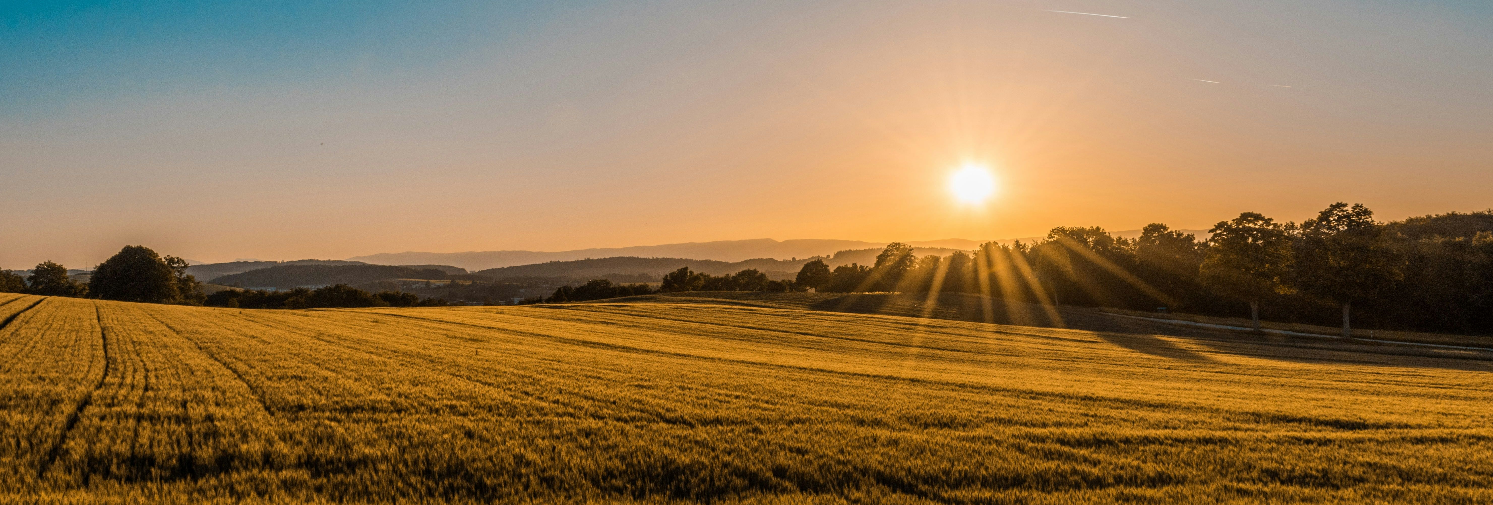 federico-respini-sYffw0LNr7s-unsplash