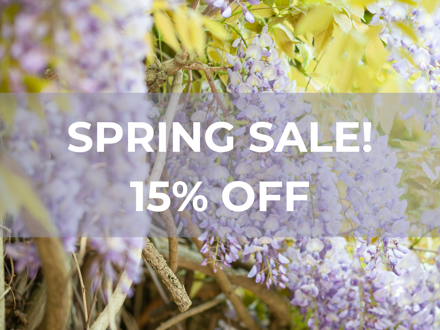 Spring Sale