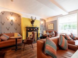 Cozy lounge area with brown leather sofas, colorful pillows, stag head wall decor, and a fireplace.