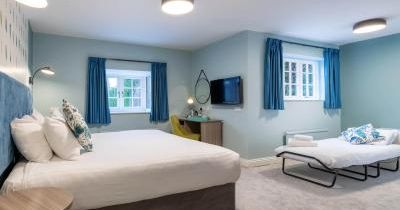 Family room with wallpaper above the bed and single Z bed