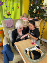Lady stroking guinea pig