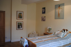 Bedroom with Pictures