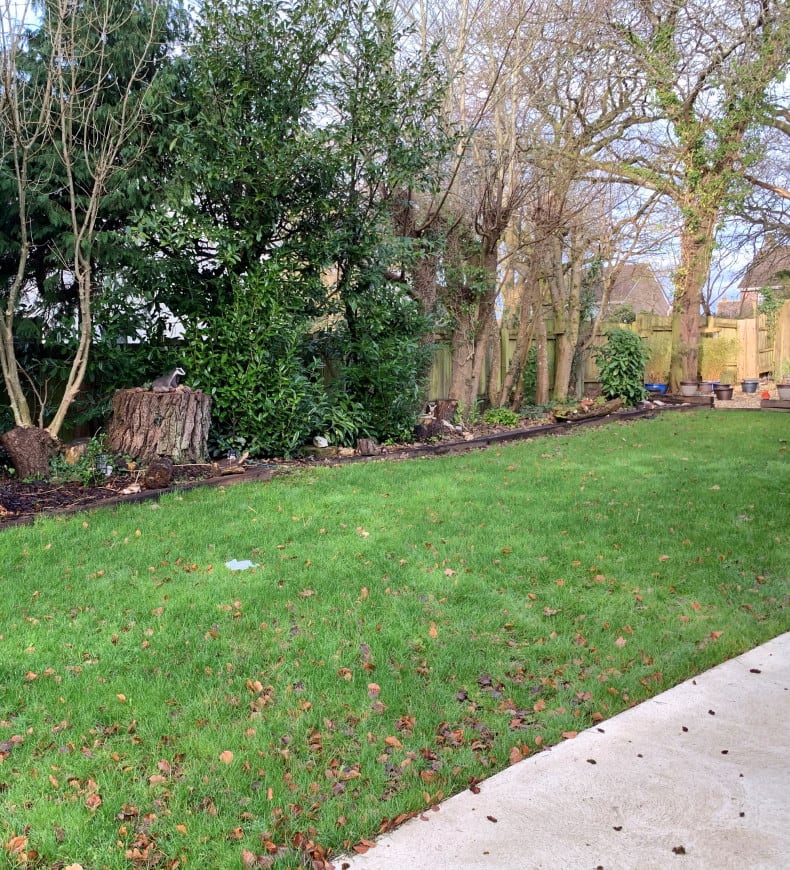 Back Garden of Woolwell Home