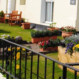 Sunny garden with flowers