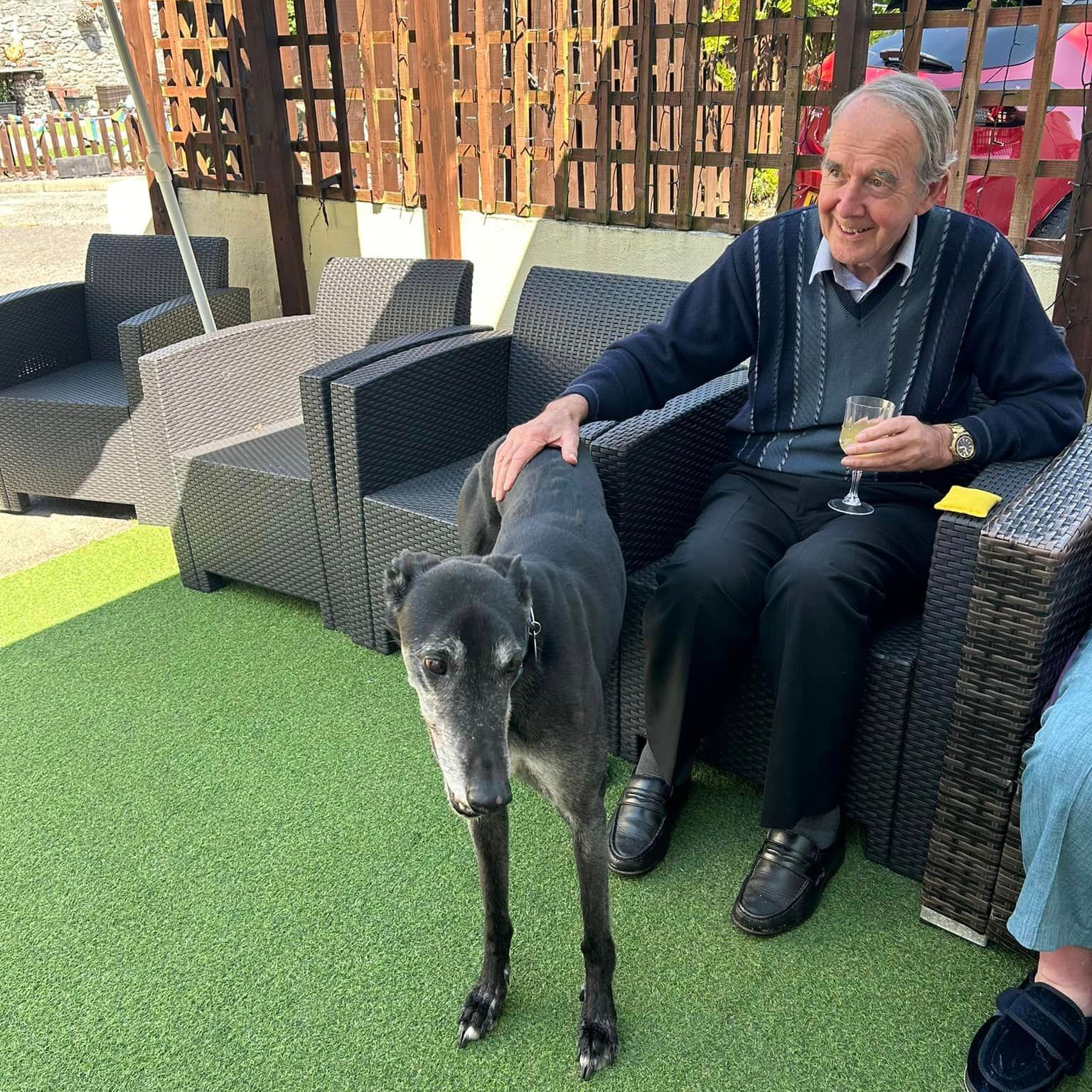Dogs come to visit!